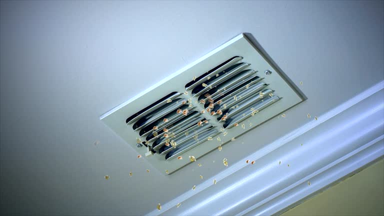 Best Ventilation Cleaning Services  in Easley, SC