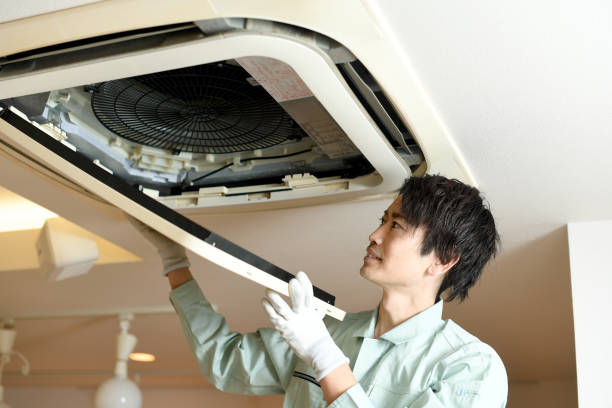 Best Ductwork Cleaning Services  in Easley, SC